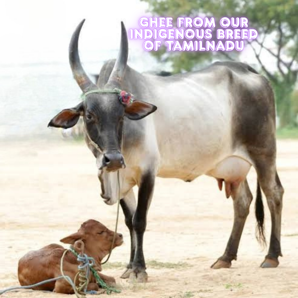 A2 Premium Native Cow Ghee
